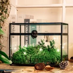 Black Geometric Glass Card Box Terrarium Foot Latch Handmade Rectangular For Wedding Receiption Wishwell Keepsake 13 Black Geometric Glass Card Box Terrarium Foot Latch Handmade Rectangular For Wedding Receiption Wishwell Keepsake -Ncyp Garden Store 5162
