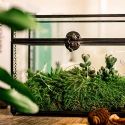 Black Geometric Glass Card Box Terrarium Foot Latch Handmade Rectangular For Wedding Receiption Wishwell Keepsake 14 Black Geometric Glass Card Box Terrarium Foot Latch Handmade Rectangular For Wedding Receiption Wishwell Keepsake -Ncyp Garden Store 5169