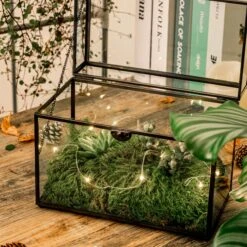 Black Geometric Glass Card Box Terrarium Foot Latch Handmade Rectangular For Wedding Receiption Wishwell Keepsake 16 Black Geometric Glass Card Box Terrarium Foot Latch Handmade Rectangular For Wedding Receiption Wishwell Keepsake -Ncyp Garden Store 5190