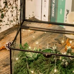 Black Geometric Glass Card Box Terrarium Foot Latch Handmade Rectangular For Wedding Receiption Wishwell Keepsake 17 Black Geometric Glass Card Box Terrarium Foot Latch Handmade Rectangular For Wedding Receiption Wishwell Keepsake -Ncyp Garden Store 5193