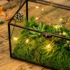 Preserved Long Hairy Moss, Green 20x50cm, For DIY Moss Wall, Moss Terrarium, Vertical Garden 18 Preserved Long Hairy Moss, Green 20x50cm, For DIY Moss Wall, Moss Terrarium, Vertical Garden -Ncyp Garden Store 5195
