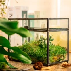 Preserved Long Hairy Moss, Green 20x50cm, For DIY Moss Wall, Moss Terrarium, Vertical Garden 20 Preserved Long Hairy Moss, Green 20x50cm, For DIY Moss Wall, Moss Terrarium, Vertical Garden -Ncyp Garden Store 5205