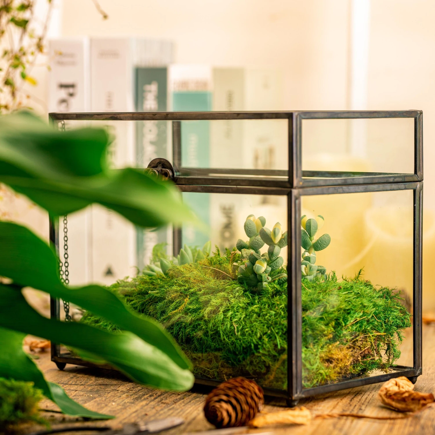 Preserved Long Hairy Moss, Green 20x50cm, For DIY Moss Wall, Moss Terrarium, Vertical Garden 11 Preserved Long Hairy Moss, Green 20x50cm, For DIY Moss Wall, Moss Terrarium, Vertical Garden - Image 9