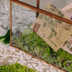 Preserved Short Moss, Leucobryum, Natural Green 20x50cm, For DIY Moss Wall, Moss Terrarium, Vertical Garden 11 Preserved Short Moss, Leucobryum, Natural Green 20x50cm, For DIY Moss Wall, Moss Terrarium, Vertical Garden -Ncyp Garden Store 5348