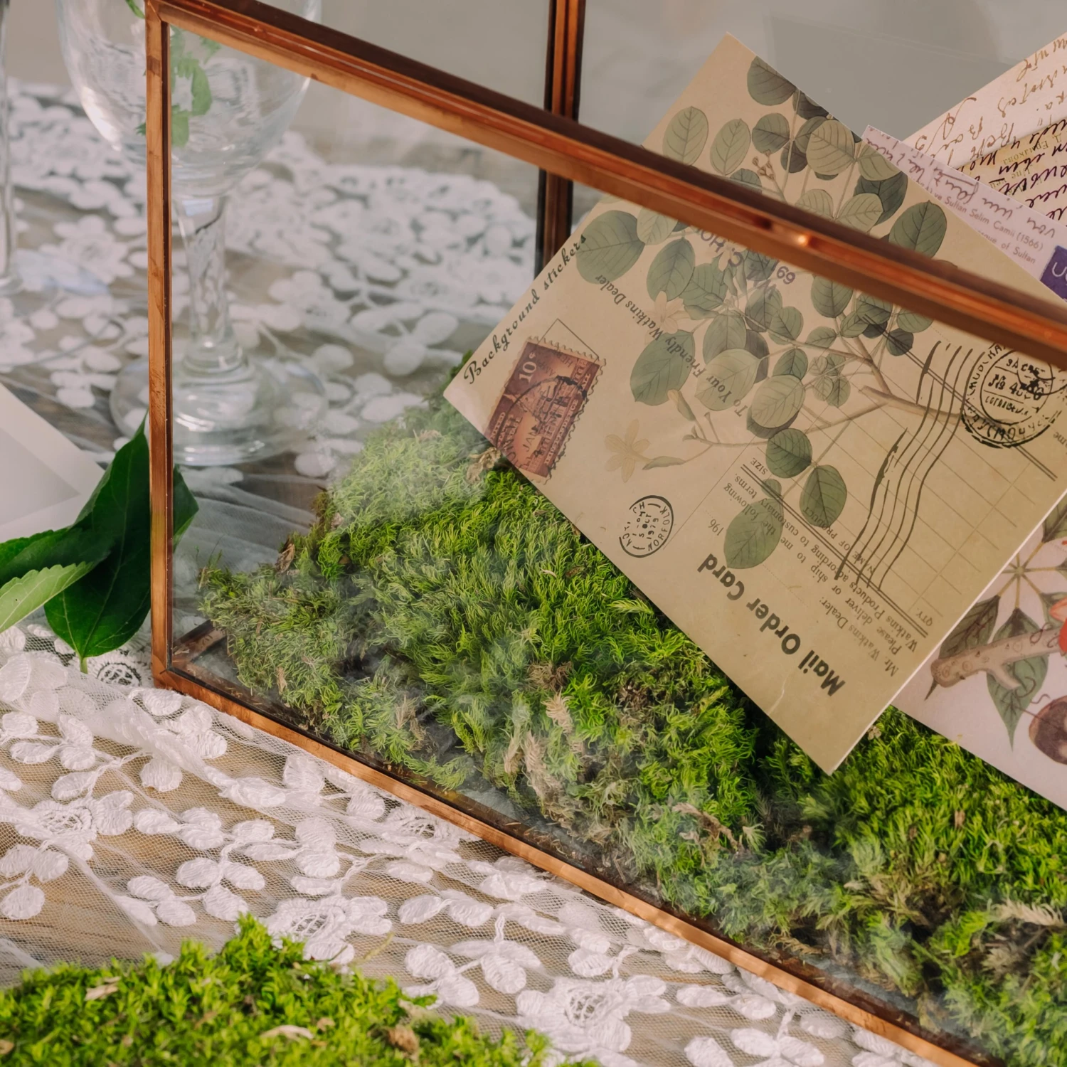 Preserved Short Moss, Leucobryum, Natural Green 20x50cm, For DIY Moss Wall, Moss Terrarium, Vertical Garden 6 Preserved Short Moss, Leucobryum, Natural Green 20x50cm, For DIY Moss Wall, Moss Terrarium, Vertical Garden - Image 4