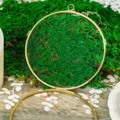 NCYP Wall Hanging Round 5" 4.3" Herbarium Brass Glass Frame For Pressed Flowers, Dried Flowers, Poster, Double Glass, Floating Frame -Ncyp Garden Store 5710