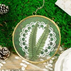 NCYP Wall Hanging Round 5" 4.3" Herbarium Brass Glass Frame For Pressed Flowers, Dried Flowers, Poster, Double Glass, Floating Frame -Ncyp Garden Store 5735