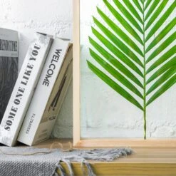 NCYP Handmade 5' 20" A3 A4 Large Tabletop Wall Hanging Natural Wood Acrylic Artwork Floating Frame -Ncyp Garden Store 8270