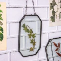 Wall Hanging Black Long Octagon Herbarium Brass Glass Frame For Pressed Flowers Dried Floating Frame -Ncyp Garden Store 8457
