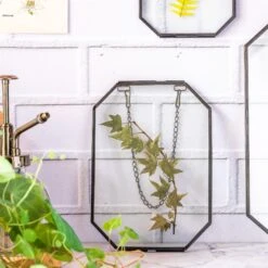 Wall Hanging Black Long Octagon Herbarium Brass Glass Frame For Pressed Flowers Dried Floating Frame -Ncyp Garden Store 8466