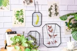 Wall Hanging Black Long Octagon Herbarium Brass Glass Frame For Pressed Flowers Dried Floating Frame -Ncyp Garden Store 8474