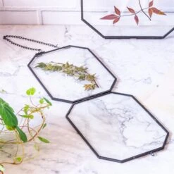 Wall Hanging Black Long Octagon Herbarium Brass Glass Frame For Pressed Flowers Dried Floating Frame -Ncyp Garden Store 8480