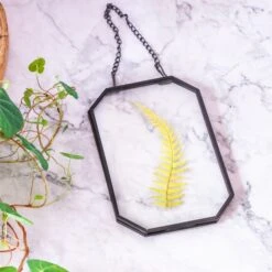 Wall Hanging Black Long Octagon Herbarium Brass Glass Frame For Pressed Flowers Dried Floating Frame -Ncyp Garden Store 8499