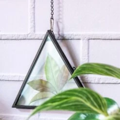 Hanging Black Triangle Herbarium Brass Glass Frame For Pressed Flowers Dried Flowers Poster -Ncyp Garden Store 8566