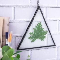 Hanging Black Triangle Herbarium Brass Glass Frame For Pressed Flowers Dried Flowers Poster -Ncyp Garden Store 8585