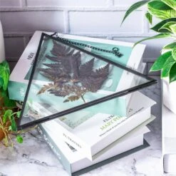 Hanging Black Triangle Herbarium Brass Glass Frame For Pressed Flowers Dried Flowers Poster -Ncyp Garden Store 8595