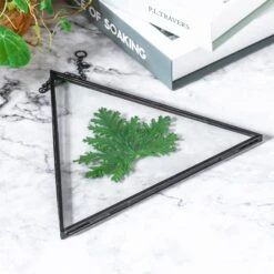 Hanging Black Triangle Herbarium Brass Glass Frame For Pressed Flowers Dried Flowers Poster