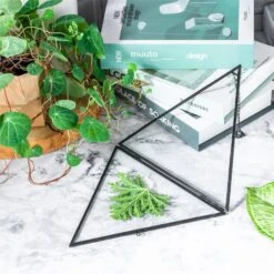 Hanging Black Triangle Herbarium Brass Glass Frame For Pressed Flowers Dried Flowers Poster -Ncyp Garden Store 8602