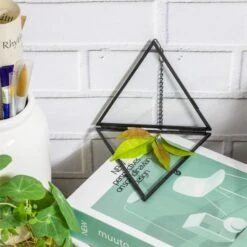 Hanging Black Triangle Herbarium Brass Glass Frame For Pressed Flowers Dried Flowers Poster -Ncyp Garden Store 8609