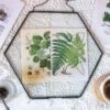 Hanging Black Hexagon Herbarium Brass Glass Frame For Pressed Flowers Dried Flowers Floating Frame -Ncyp Garden Store 8658
