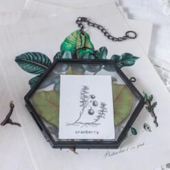 Handmade Black Vintage Brass Floating Hanging Glass Hexagon Picture Photo Frame Small Side Length 2" -Ncyp Garden Store 8689