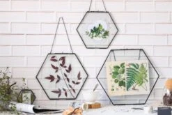 Hanging Black Hexagon Herbarium Brass Glass Frame For Pressed Flowers Dried Flowers Floating Frame -Ncyp Garden Store 8713