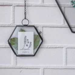 Handmade Black Vintage Brass Floating Hanging Glass Hexagon Picture Photo Frame Small Side Length 2" -Ncyp Garden Store 8716