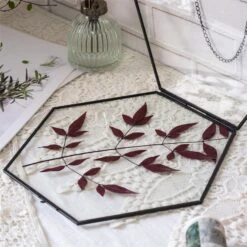 Hanging Black Hexagon Herbarium Brass Glass Frame For Pressed Flowers Dried Flowers Floating Frame -Ncyp Garden Store 8741