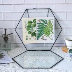 Hanging Black Hexagon Herbarium Brass Glass Frame For Pressed Flowers Dried Flowers Floating Frame -Ncyp Garden Store 8747
