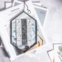 NCYP Vintage Black Brass Floating Hanging Glass Long Hexagon Photo Frame For Fern, Pressed Flower