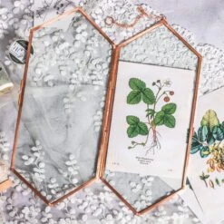NCYP Vintage Rose Gold Copper Floating Hanging Glass Long Hexagon Frame For Fern, Pressed Flower -Ncyp Garden Store 8932