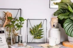 Handmade Black Large Wall Hanging Brass Glass Artwork Certificate Photo Display Floating Frame 21 Handmade Black Large Wall Hanging Brass Glass Artwork Certificate Photo Display Floating Frame -Ncyp Garden Store 8978