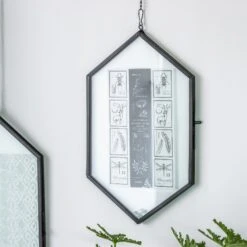 NCYP Vintage Black Brass Floating Hanging Glass Long Hexagon Photo Frame For Fern, Pressed Flower -Ncyp Garden Store 8992