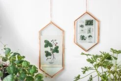 NCYP Vintage Rose Gold Copper Floating Hanging Glass Long Hexagon Frame For Fern, Pressed Flower -Ncyp Garden Store 8999