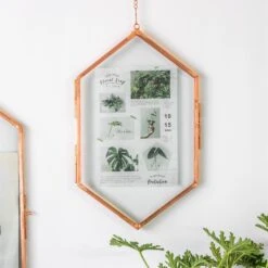 NCYP Vintage Rose Gold Copper Floating Hanging Glass Long Hexagon Frame For Fern, Pressed Flower -Ncyp Garden Store 9004