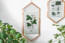 NCYP Vintage Rose Gold Copper Floating Hanging Glass Long Hexagon Frame For Fern, Pressed Flower -Ncyp Garden Store 9005