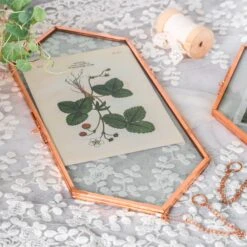 NCYP Vintage Rose Gold Copper Floating Hanging Glass Long Hexagon Frame For Fern, Pressed Flower -Ncyp Garden Store 9034