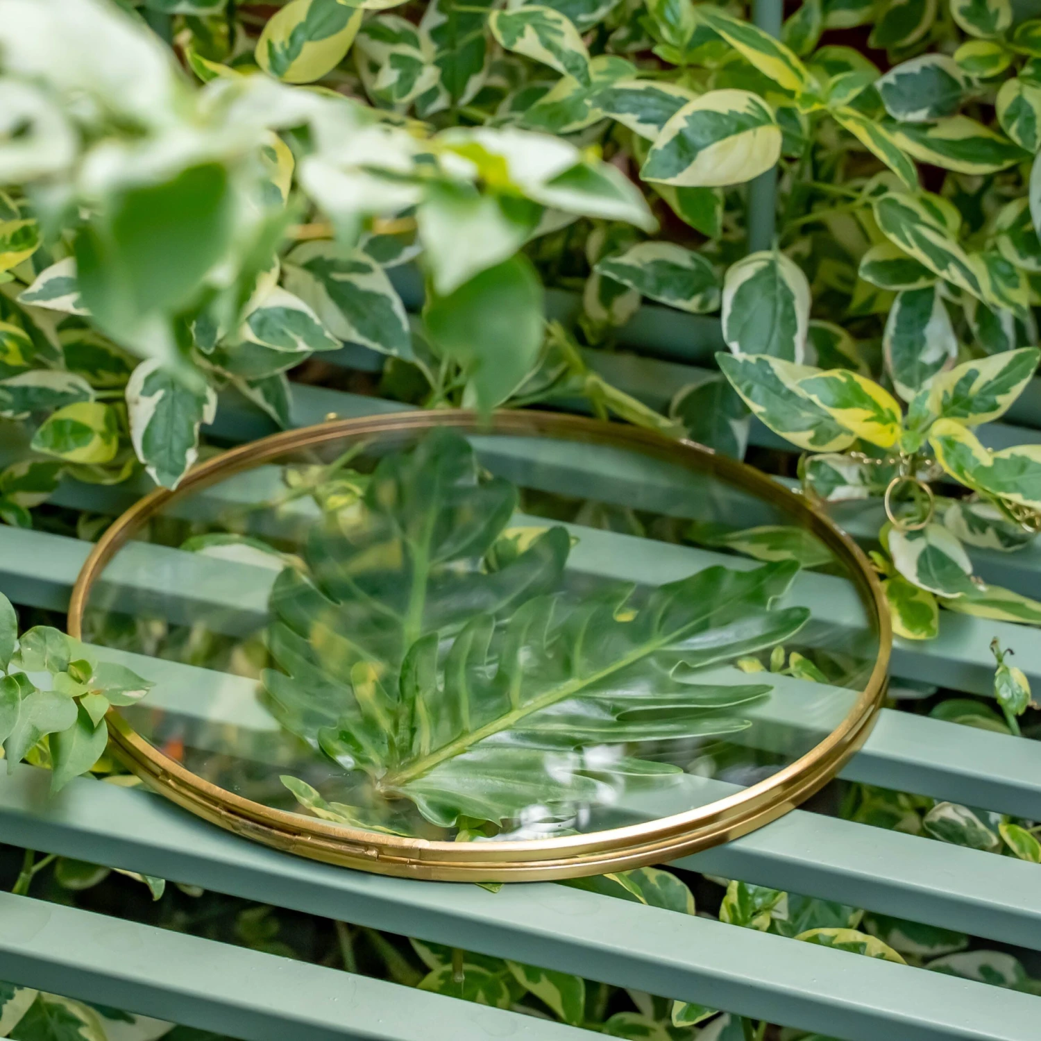 NCYP Wall Hanging Round 8" 10" 12" Herbarium Brass Glass Frame For Pressed Flowers, Poster, Double Glass, Floating Frame 12 NCYP Wall Hanging Round 8" 10" 12" Herbarium Brass Glass Frame For Pressed Flowers, Poster, Double Glass, Floating Frame - Image 10