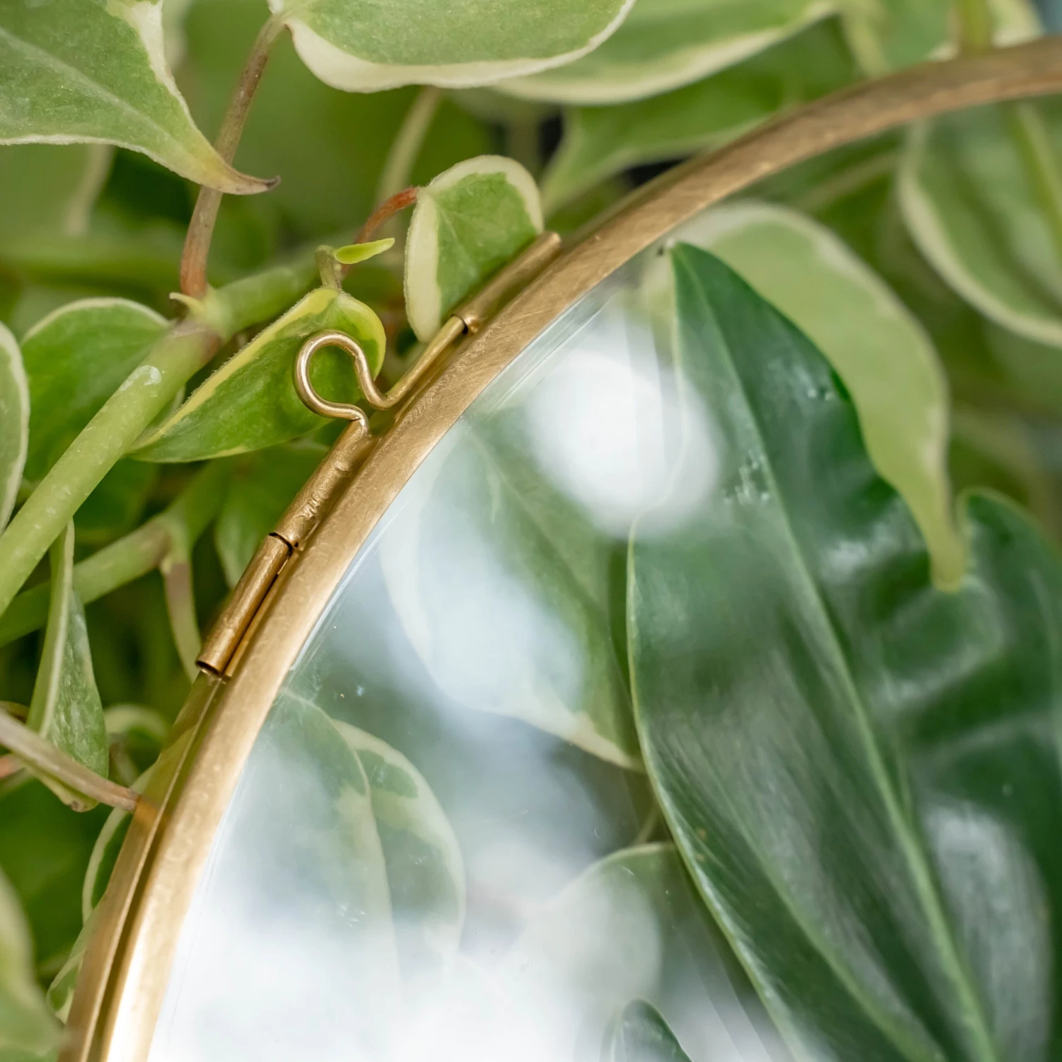 NCYP Wall Hanging Round 8" 10" 12" Herbarium Brass Glass Frame For Pressed Flowers, Poster, Double Glass, Floating Frame 13 NCYP Wall Hanging Round 8" 10" 12" Herbarium Brass Glass Frame For Pressed Flowers, Poster, Double Glass, Floating Frame - Image 11