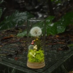 Presered Dandelion Set 3 Pcs Dried Flowers, DIY Material For Bouquet, -Ncyp Garden Store DSC 0175