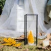 Tall Handmade Black Glass Candle Holder, Square, 9.8" Tall -Ncyp Garden Store G01A3124 3