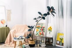 NCYP Artificial Rubber Tree, Rubber Fig, Rubber Bush 5.9FT (70.8 Inches) Tall Faux Plant For Home Office Decor, Indoor Fake Potted Ficus Elastica Tree With Plastic Pot And Rattan Woven Basket 25 NCYP Artificial Rubber Tree, Rubber Fig, Rubber Bush 5.9FT (70.8 Inches) Tall Faux Plant For Home Office Decor, Indoor Fake Potted Ficus Elastica Tree With Plastic Pot And Rattan Woven Basket -Ncyp Garden Store G01A5221 f173a846 83d4 4696 93f8 acd8ed74e0a7