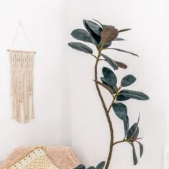NCYP Artificial Rubber Tree, Rubber Fig, Rubber Bush 5.9FT (70.8 Inches) Tall Faux Plant For Home Office Decor, Indoor Fake Potted Ficus Elastica Tree With Plastic Pot And Rattan Woven Basket 23 NCYP Artificial Rubber Tree, Rubber Fig, Rubber Bush 5.9FT (70.8 Inches) Tall Faux Plant For Home Office Decor, Indoor Fake Potted Ficus Elastica Tree With Plastic Pot And Rattan Woven Basket -Ncyp Garden Store G01A5329
