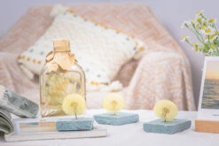 Yellow Presered Dandelion Set 3 Pcs Dried Flowers, DIY Material For Bouquet -Ncyp Garden Store G01A6040