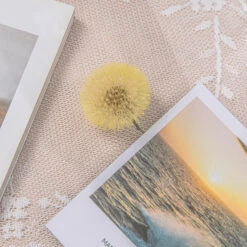 Yellow Presered Dandelion Set 3 Pcs Dried Flowers, DIY Material For Bouquet -Ncyp Garden Store G01A6065
