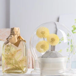 Yellow Presered Dandelion Set 3 Pcs Dried Flowers, DIY Material For Bouquet -Ncyp Garden Store G01A6077