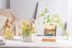 Yellow Presered Dandelion Set 3 Pcs Dried Flowers, DIY Material For Bouquet -Ncyp Garden Store G01A6098