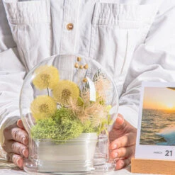 Yellow Presered Dandelion Set 3 Pcs Dried Flowers, DIY Material For Bouquet -Ncyp Garden Store G01A6103