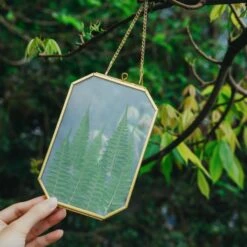 Wall Hanging Long Octagon Herbarium Brass Glass Frame For Pressed Flowers Dried Floating Frame -Ncyp Garden Store G01A9779