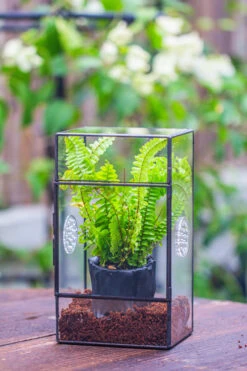 Rectangle Tin And Glass Geometric Terrarium Kit, With Side Door, With Vent, Snail Terrarium Building Set -Ncyp Garden Store IMG 0679